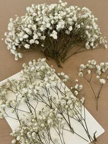 Blanc Vert 5