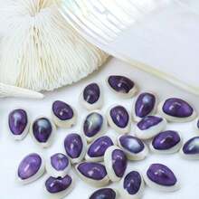 [Purple Conch] 2/10pcs Purple Eye Conch Shells | DIY Handmade Jewelry, Sparkling Ocean Home Decor, Ocean Theme Wedding Gifts, Holiday Decorations - Set - View 2