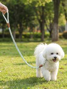 柔軟舒適耐用尼龍三色編織時尚寵物牽繩，適用於比熊犬、泰迪犬及其他小型犬種，適用於狗狗與貓咪散步 - 彩色 - 查看 7