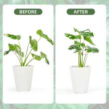 1/2件金屬海龜背葉片植物支撐夾，鐵製植物穩定器，莖部固定器，葉形支撐，大葉室內盆栽防傾倒，保持莖部挺直，室內盆栽園藝用品，居家園藝裝飾，秋季居家裝飾 - C - 查看 2