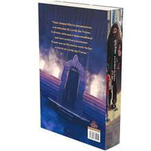 HARRY POTTER E A ORDEM DA FENIX - ED POTTERMORE - LIVRO 5 - ROCCO - Livro único - Visão 2