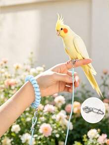 Budgerigar Bird Flight Leash, Elastic Anti-Tangle Design, Outdoor Bird Walking Flight Rope, Suitable For Cockatiel, Budgie And Other Small Birds, Pet Bird Leg Chain Leash For Outdoor Flight - A+B - View 6