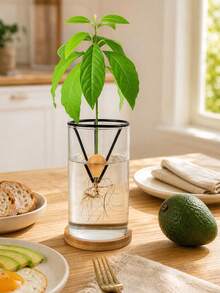 1/2pcs Hydroponic Seedling Support Pot, Creative Cone-Shaped Plastic Seedling Container, Suitable For Avocado And Various Plant Seeds Germination And Cultivation, Lightweight Hanging Design, Gardening Gift Home Decor - Multicolor - View 5