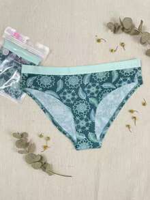3pcs Soft Modal Full Coverage Panties, Women's Breathable Elastic Low Waist Underwear, Individually Packaged - Multicolor - View 5