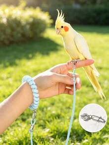 Budgerigar Bird Flight Leash, Elastic Anti-Tangle Design, Outdoor Bird Walking Flight Rope, Suitable For Cockatiel, Budgie And Other Small Birds, Pet Bird Leg Chain Leash For Outdoor Flight - A+B - View 8