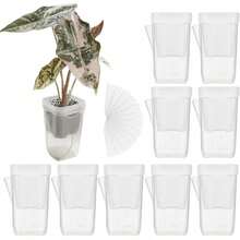 10sets Indoor Plant Self-Watering Planter Set, Includes 10 Mini Transparent Plastic Pots With Water Level Indicator And Drainage Hole, Suitable For Propagating Plants, Succulents And African Violets - Multiple Styles - View 12