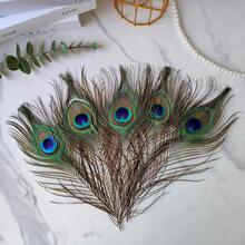 70pcs/50pcs Bulk Artificial Peacock Feathers, Suitable For Vases, Crafts, Weddings, Home Parties, Christmas Decorations, Etc. - Multicolor - View 8