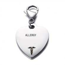 1pc Diabetes Medical Alert Heart Pendant Stainless Steel Lobster Claw Keychain, For Emergency Identification - Multicolor - View 19