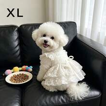 1件白色蕾絲寵物狗/貓洋裝，輕量時尚浪漫玫瑰刺繡泡泡袖公主裙，適合春/夏，適用於貴賓狗及其他小型寵物 - 白色 - 查看 12