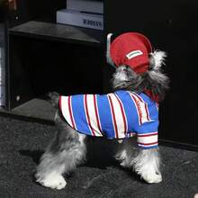 1pc Blue, Red, White Striped Dog T-Shirt, Soft And Breathable Pet Clothing, Suitable For Daily Wear, Fits Small To Medium Cats And Dogs - Blue and White - View 5