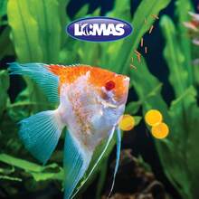 FANCY PETS Mini Tropical Fish Pellets - 90 G - View 4