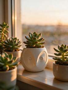 3D Printed 3pcs Creative Succulent Planters, Cute Owl Shaped Plant Pots, Mini Desktop Flower & Herb Planting Containers, Office Desk Greenery Decor - Owl - View 10