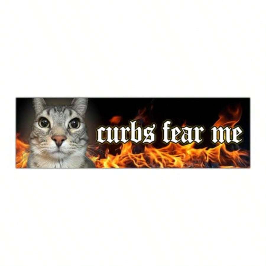 Curbs Fear Me Cat Funny Gen Z Unhinged Meme Bumper Magnet Sticker Car Vehicle Vinyl Decal For New Drivers And Adults - Multi - View 1