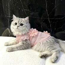 1pc Summer Lightweight Hollow Mesh Small Pet Princess Dress, Sleeveless Ruffle Flutter Sleeves, 3D Large Chiffon Flower Decor, Breathable And Soft, Suitable For Teddy, Maltese, Chihuahua, Kitten Daily Wear, Outings And Parties - Baby Pink - View 6