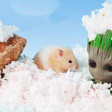 1pc Dust-Free Natural Wood Pulp Hamster Bedding, Warm & Absorbent Wood Shavings Litter, Multi-Color Deodorizing Dry No Additives - Multicolor - View 2