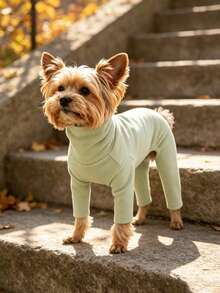 Pet Dog Clothes Multi-Color Solid Fleece Home Wear Four-Legged Inner Shirt Anti-Shedding Base Layer Casual Comfortable Jumpsuit Suitable For Small Dogs Teddy Bichon Pomeranian Yorkshire Terrier Maltese All-Season Wear Apparel - Green - View 17