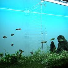 Acrylic Fish Divider Aquarium Divider 15/20 Gallon Long |   Acrylic Aquarium Divider 15/20 Gal Long, 11.2-12.2 Adjustable Width, Smooth Laser-Cut Edges,With Suction Cups - 10 Gallon - View 4