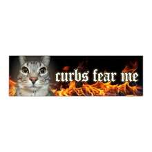 Curbs Fear Me Cat Funny Gen Z Unhinged Meme Bumper Magnet Sticker Car Vehicle Vinyl Decal For New Drivers And Adults - Multi - View 5