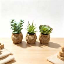 3pcs Mini Artificial Plant Bonsai Succulent Desktop Potted Plants, Suitable For Home Indoor, Garden, Office, Party (Highly Realistic), Photography And Other Decoration Scenes - Green - View 10