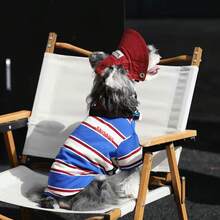 1pc Blue, Red, White Striped Dog T-Shirt, Soft And Breathable Pet Clothing, Suitable For Daily Wear, Fits Small To Medium Cats And Dogs - Blue and White - View 7