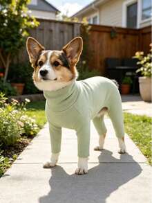 Pet Dog Clothes Multi-Color Solid Fleece Home Wear Four-Legged Inner Shirt Anti-Shedding Base Layer Casual Comfortable Jumpsuit Suitable For Small Dogs Teddy Bichon Pomeranian Yorkshire Terrier Maltese All-Season Wear Apparel - Green - View 7