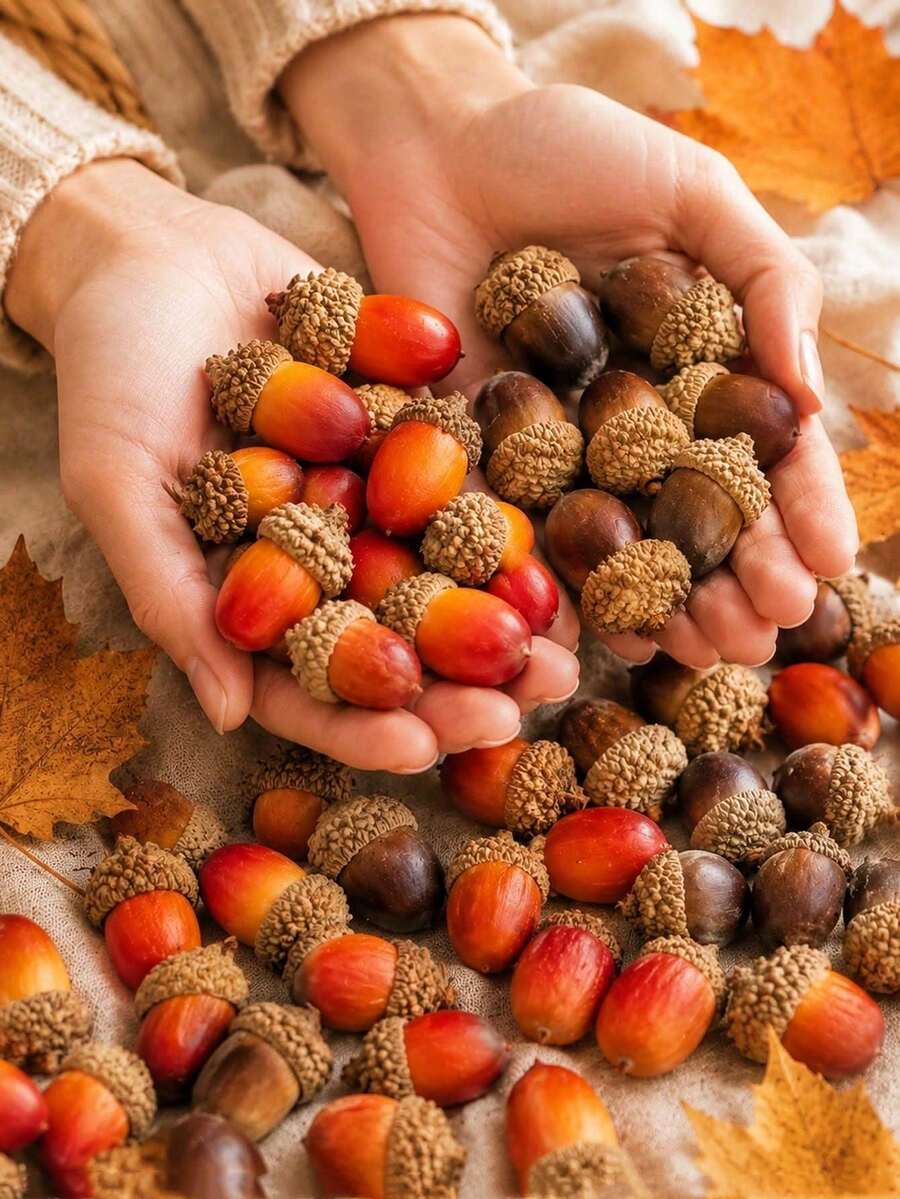 MEHELANY 20Pcs Artificial Acorns Bulk Pack, Brown Orange Fake Foam Acorns With Oak Caps, Harvest Bowl & Tray Fillers, Farmhouse Fall Thanksgiving Halloween Home Table Decor, DIY Wreath Garland Floral Craft Supplies, Autumn Wedding Scatter - Multicolor - View 1