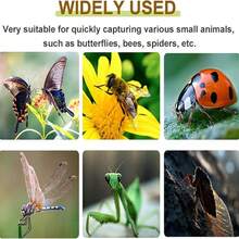 Insect Catcher, Small Animal Capture Tool, Nature Exploration Equipment, Can Catch Butterflies, Bees, Ladybugs, Spiders, Suitable For Boys And Girls - A - View 5