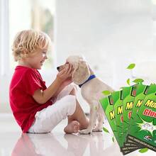 Mouse Catcher(No Mousetrap) & Insect Trap & Insect Killer - 1 - View 8