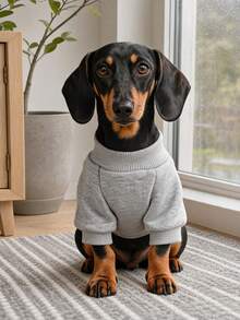 PETCIRCLE 1件寵物衣服 小狗幼犬貓咪適用 可愛寵物秋冬款 極簡純色百搭 防風保暖 字母刺繡美式徽章運動衫 - 灰色 - 查看 3