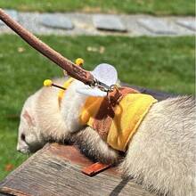 1pc Ferret Leash Caterpillar Design Cartoon Vest-Style Adjustable Outdoor Pet Walking Harness - Multicolor - View 3