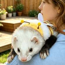 1pc Ferret Leash Caterpillar Design Cartoon Vest-Style Adjustable Outdoor Pet Walking Harness - Multicolor - View 4