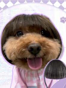 1pc Pet Cat & Dog Wig, Pet Supplies, Halloween Pet Accessory, Curly/Straight Cat Wig - Multicolor - View 4