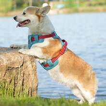 Anti-Pull Pet Harness, Easy To Wear Adjustable Reflective Pet Vest With Handle And Front Buckle, Breathable Oxford Mesh Escape-Proof Protection For Small To Medium Dogs, Comfortable Training And Walking Vest Suitable For 5-60 Lbs Small And Medium Dogs - Multicolor - View 12