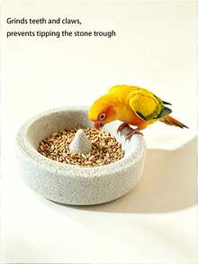 Pet Supplies Bird Food Bowl Parrot Chewing & Grinding Practice Anti-Tip Pet Bird Food Bowl Suitable For Sun Conure, Tiger Conure - Multicolor - View 5