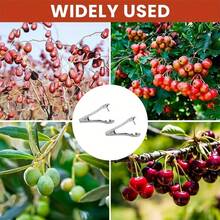 1pc/Cherry Pitter, Cherry Pitter, Cherry Pitter, Olive Pitter, Fruit Pitter, Cherry Pitter - Multicolor - View 10