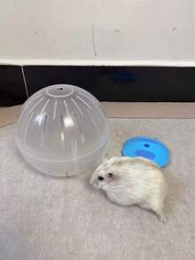 3pcs Hamster Exercise Ball, Transparent Ventilated Outdoor Rolling Ball, Colorful Lid Walking Ball, Suitable For Hamsters, Gerbils, Blue, Yellow, Pink - View 7