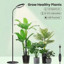 68英寸全光谱落地式植物生长灯，带3/9/12小时定时器，适用于种植大型高大植物，黑色环形LED植物生长灯 - 全光譜太陽光 - 查看 1