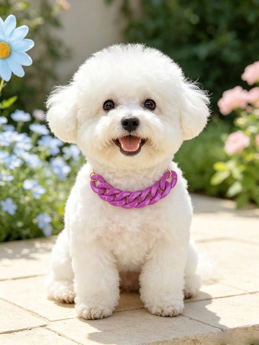 Decorative Pet Necklace (Dog Accessory), Solid Color Acrylic Chain Design With Adjustable Gold Metal Extension Chain, Fashionable And Photogenic, Suitable For Small To Medium Dogs And Cats - Purple - View 1