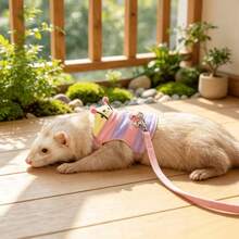 1pc Ferret Leash Caterpillar Design Cartoon Vest-Style Adjustable Outdoor Pet Walking Harness - Multicolor - View 8