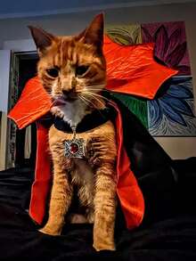 1pc/Set Halloween Pet Dog Bat Costume Cape Funny Holiday Outfit Cat Dress Up Supplies - Multicolor - View 4