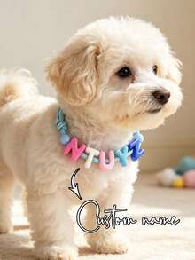 1pc Colorful Customized Letter Dog Collar, Customized Pet Name, Personalized Pet ID Tag, Customized Acrylic Name Tag, Customizable Letter Dog Collar, Birthday Gift, Pet Supplies, Pet Lover Gift, Suitable For Family, Friends And Pets - Grey - View 12