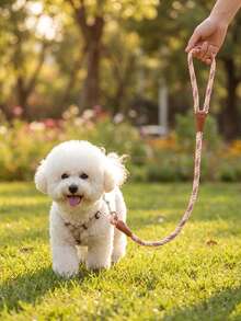 柔軟舒適耐用尼龍三色編織時尚寵物牽繩，適用於比熊犬、泰迪犬及其他小型犬種，適合狗狗與貓咪散步使用 - 彩色 - 查看 3