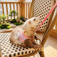 1pc Ferret Leash Caterpillar Design Cartoon Vest-Style Adjustable Outdoor Pet Walking Harness - Multicolor - View 7