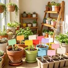 50 Peças Etiquetas de Plantas de Jardim em Formato de T, Reutilizáveis, Compatíveis com Marcador Permanente, Etiquetas de Nome de Sementes de Plástico à Prova d'Água, Adequadas para Jardinagem Interna/Externa, Plantas em Vasos e Cuidados com o Gramado - Estilo sorridente (várias cores) - Visão 7