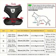 PETSIN 1pc Adjustable Cat/Dog Harness & Leash Set, 125cm Leash, Breathable Mesh Escape-Proof Vest, Collar Alternative, Travel Essentials, Great Gift - Grey - View 4
