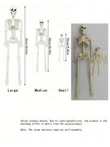 Multi-Size Foldable Hanging Skeleton Halloween Decor, Movable Joint Plastic Skeleton Prop, Suitable For Haunted House Party, Porch, Door, Wall, Yard, Window, Photo Booth And Seasonal Home Decoration - Skull Series - View 2