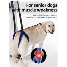 Supporting Belts For The Back Legs Designed For Elderly Dogs, Disabled Dogs And Injured Dogs, Post-Surgery Rehabilitation Walking Assistance Belts, Dog Leashes, Walking Assistance Ropes. Collar Leash And Pendant Dog Set (For Two-In-One Use) - Multicolor - View 2