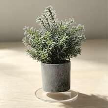 1pc 2D Flat Printed Acrylic Simulated Mini Rosemary Desktop Decor, Eucalyptus Potted Plant Suitable For Living Room, Desk, Kitchen Gift, Yard Decoration - Army Green - View 5