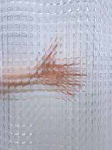 3D 立體幻影貓眼透明美學浴室簾，隱私保護，現代設計，適用於民宿、酒店與浴室 - 無色 - 查看 5