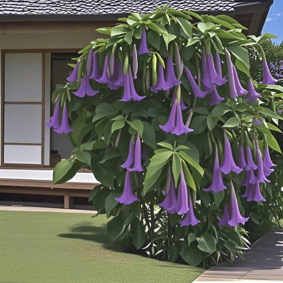 Bonsai - 100pcs - View 1